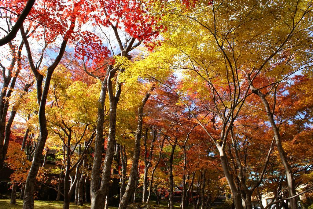 Yutorelo-An Annex Hakone Exteriér fotografie